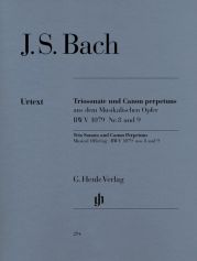 BACH TRIOSON CANON PERPETUS FLUTE/VLN